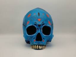 Day Of The Dead.plaster Paris Life Size Human Skull Replica - thumbnail 1