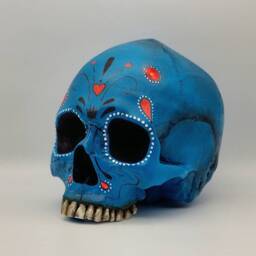 Day Of The Dead.plaster Paris Life Size Human Skull Replica - thumbnail 2