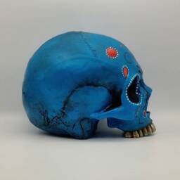 Day Of The Dead.plaster Paris Life Size Human Skull Replica - thumbnail 4