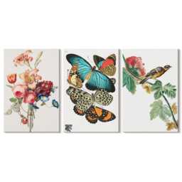 Canvas Art Set Of 3 - Flowers, Butterflies & A Bird in Pastel Shades, Green Wall Canvas, Plants Flowers Decor - thumbnail 3