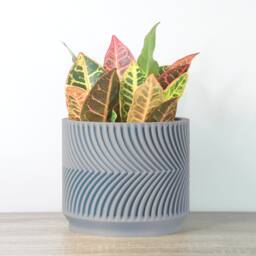 "Parisian Planter With Drainage & Saucer in Gray, Modern & Unique 3D-Printed Plant Pot, Small To Large Sizes 4"" 5"" 6"" 7"" 8" - thumbnail 3