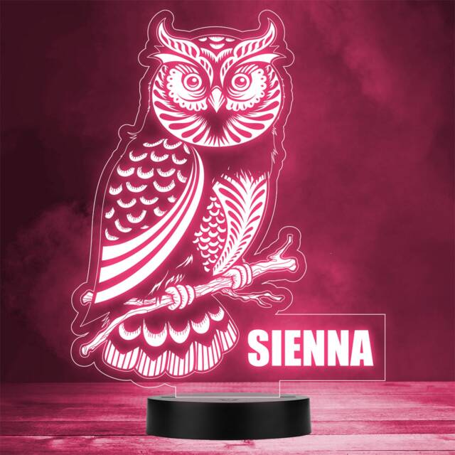 Owl Sitting On Branch Bird Animal Led Personalised Gift Night Light - image 1
