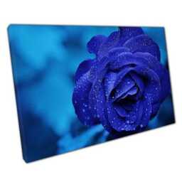 Elegant Royal Blue Rose Canvas Print Modern Floral Wall Art For Home Or Office Decor - thumbnail 1