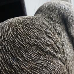 Lop Eared Rabbit Garden Ornament Stone Cast Statue Hand Made - thumbnail 4