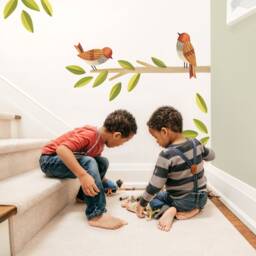 Spice Finch Kit - Peel-And-stick Wall Decals Mej