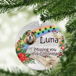Personalised Pet Loss Bauble, Over The Rainbow Bridge Photo Christmas Tree Bauble - thumbnail 2