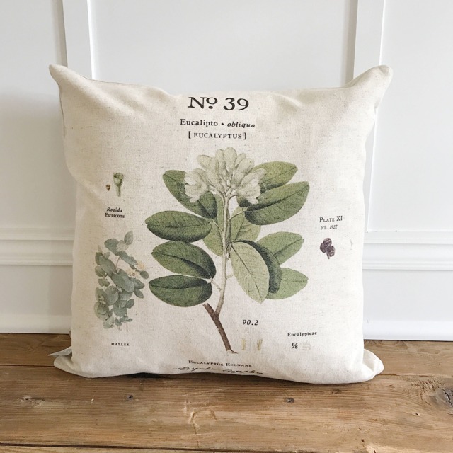 Eucalyptus Botanical No. 39 Pillow Cover - image 1