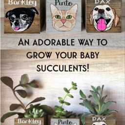 Mini Hand Painted Cat, Dog Portrait Planter, Cat Mom, Dad, Personalized Pet Loss Memorial, Mother's Day - thumbnail 2