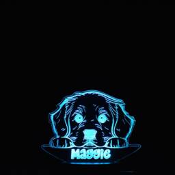 Personalised Golden Retriever Led Night Light - Dog Puppy Gift - thumbnail 4