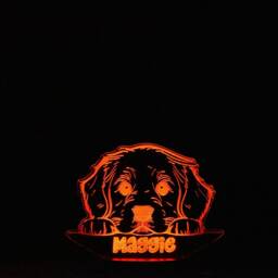 Personalised Golden Retriever Led Night Light - Dog Puppy Gift - thumbnail 2