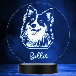 Sheltie Dog Pet Silhouette Multicolour Personalised Gift Led Lamp Night Light - Bedroom