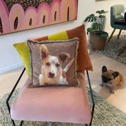 Custom Photo Pillow, Stylish Keepsake, Pet Memorial Gift - thumbnail 3