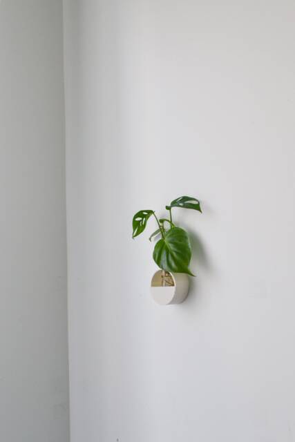 3D Printed Wall Hanging Propagation Vase With Glass Tube - image 1