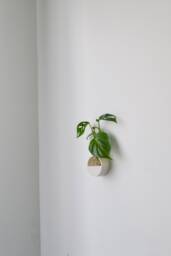3D Printed Wall Hanging Propagation Vase With Glass Tube - thumbnail 1
