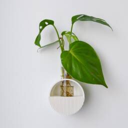 3D Printed Wall Hanging Propagation Vase With Glass Tube - thumbnail 2