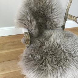 Pale Grey Australian Sheepskin Rug, Home Decor Throw - thumbnail 3