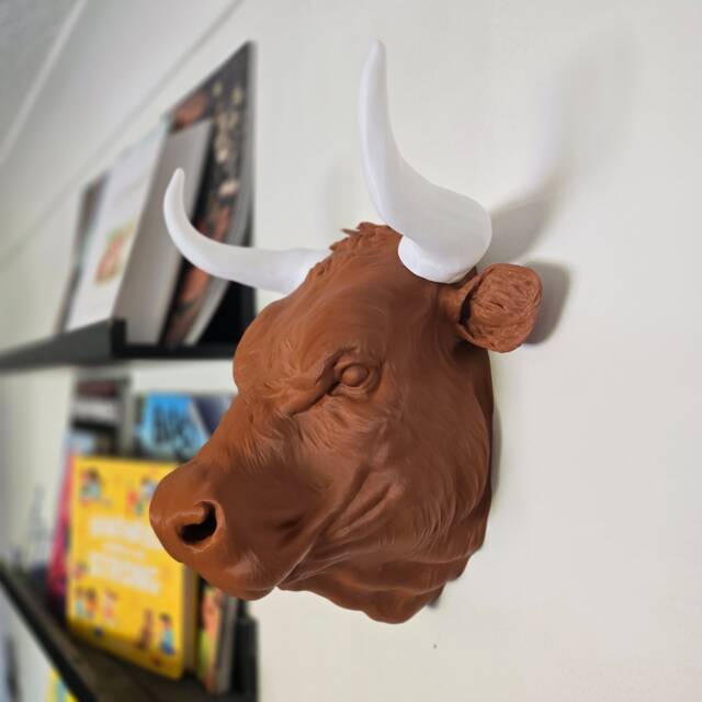 Red Devon Bull Head - Wall Mount Animal Art 3D Printed - image 1