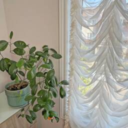 Custom Austrian Shade French Marquise Style Window Treatment - thumbnail 4