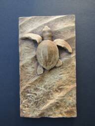 Sea Turtle Hatchling Concrete Art Tile Wall Sculpture - thumbnail 1