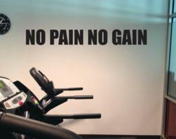 Gym Ideas, Home Fitness Studio No Pain Gain Wall Decal Sticker - thumbnail 1