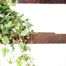 Rustic Console Table Midcentury/Tv Stand in Antique Wood - thumbnail 2