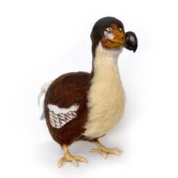 The Dodo-Extinct Flightless Bird Of Mauritius-Wildlife Lifelike Felt Art. Ornithologist Gift - thumbnail 3