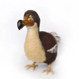The Dodo-Extinct Flightless Bird Of Mauritius-Wildlife Lifelike Felt Art. Ornithologist Gift - thumbnail 2
