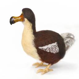 The Dodo-Extinct Flightless Bird Of Mauritius-Wildlife Lifelike Felt Art. Ornithologist Gift - thumbnail 4