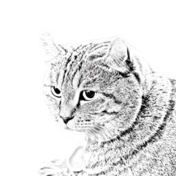 Highland Lynx - Wooden Stand For Candles/Pens With The Image Of A Cat New Collection - thumbnail 2