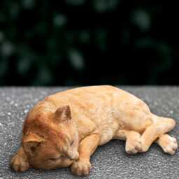Sleeping Cat Statue Concrete Kitten Sculpture Cement Kitty Figurine Laying Decoration Memorial Ornament Front Door Art Lover Gift