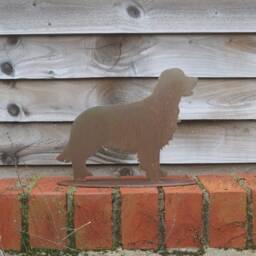 Rusty Metal Retriever Garden Decoration, Dog Memorial Gift - thumbnail 2