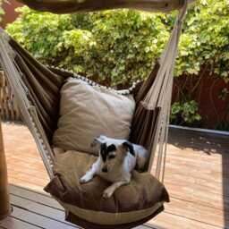 Hammock Chair/Patio Furniture H??ngesessel - thumbnail 2