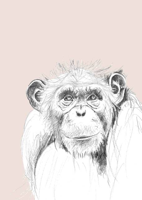 Monkey Illustration, Kids Illustration, Animals Room Decor, Baby Print 21x30, Children Decor - image 1
