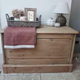Vintage Country Pine Blanket Box - thumbnail 3