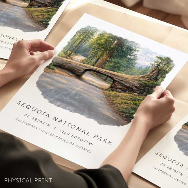 Sequoia National Park, Travel Poster, California Road Trip, Fallen Tree Road, Usa Parks, Gifts, Wall Art - image 1