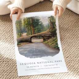 Sequoia National Park, Travel Poster, California Road Trip, Fallen Tree Road, Usa Parks, Gifts, Wall Art - thumbnail 2