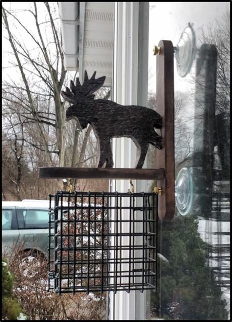 Moose Window Bird Feeder, Attaches To Window, Moose, Suet Feeder, Window Feeder, Bird, Birds, Bird Watcher, Suet, Bird Food Holder, Bird Seed Holder - image 1