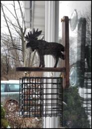 Moose Window Bird Feeder, Attaches To Window, Moose, Suet Feeder, Window Feeder, Bird, Birds, Bird Watcher, Suet, Bird Food Holder, Bird Seed Holder