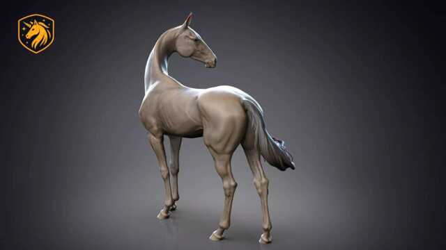 Akhal-Teke Horse - Standing Pose - Unpainted Abs Resin Model - Elegant Equine Sculpture - image 1