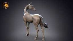 Akhal-Teke Horse - Standing Pose - Unpainted Abs Resin Model - Elegant Equine Sculpture - thumbnail 1