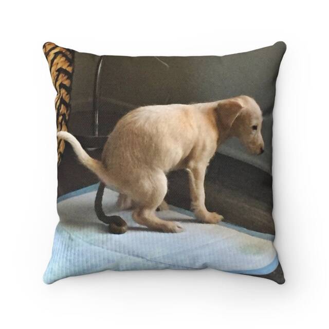 Poppy Dump Pillow - image 1