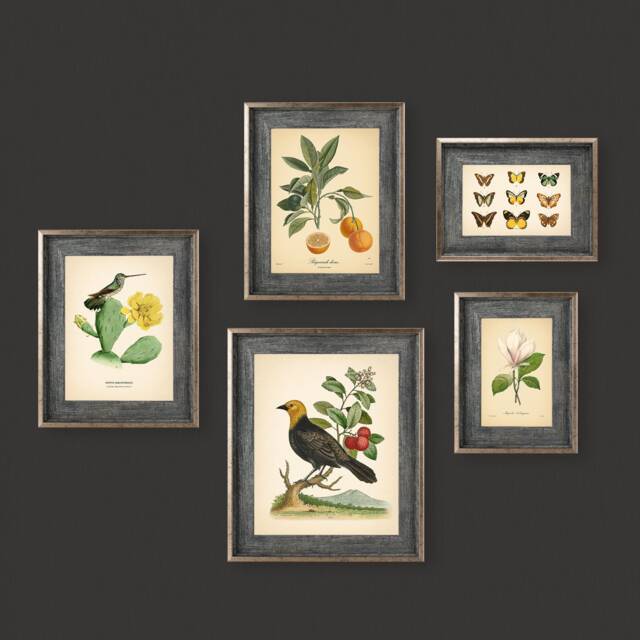 5 Vintage Botanical Prints Set Poster Flower Butterfly Sunflower Fern Leaf Rose Bird Nature Of Neutral Decor - image 1
