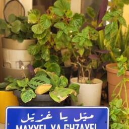 Mayyel Ya Ghzayyel Vintage Street Sign - Aluminium Ahla W Sahla Lebanese Souvenir Gift Wall Mount Lebanon Signs Beirut - thumbnail 2
