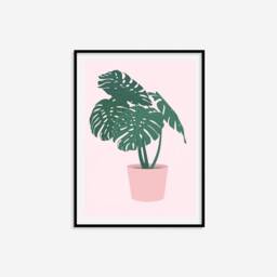 Monstera Deliciosa Print - Cheeseplant Print, Houseplant Colourful Children's Wall Art, Plant Lover Gift, Nursery Prints, Art - thumbnail 3