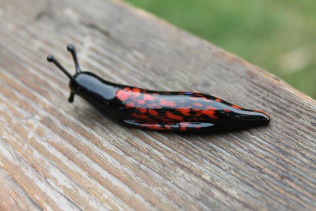 Spotted Slug Glass Sculpture Glass Slug Lampwork Glass Animals Handcrafted Snail - image 1