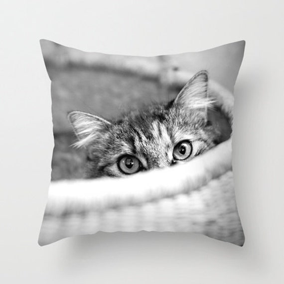 Cat Pillow Kitten Basket 16x16 18x18 20x20 Cover - image 1