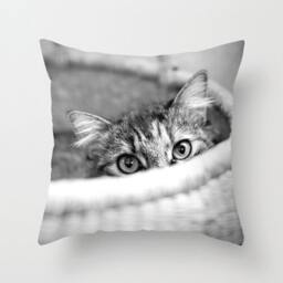 Cat Pillow Kitten Basket 16x16 18x18 20x20 Cover - thumbnail 1