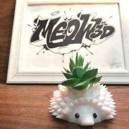 Hedgehog Planter, Christmas Gift, Hedgehog Gifts, Animal Decor, Hedgehogs, Lover, Succulent Planter - thumbnail 2
