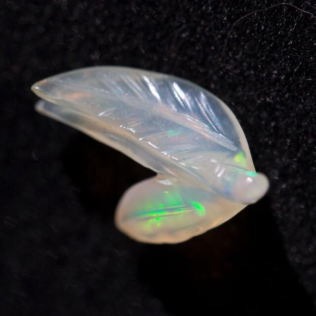Opal Insect Carving - 1.4 Cts - image 1