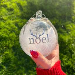 Feather Filled Glass Christmas Bauble Silver Message Tree Decoration - thumbnail 4